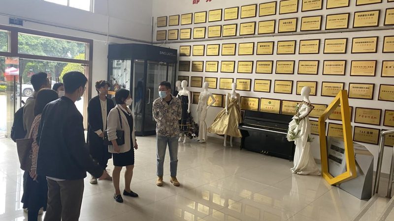 品牌策划案例精选：揭秘成功背后的策略与执行